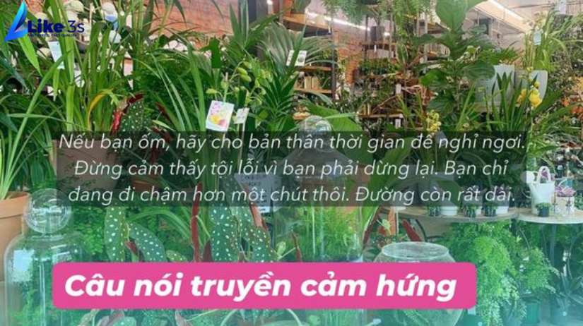 Cách tăng Follow Instagram miễn phí